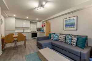 holiday let apartment, self catering kitchen, family friendly living area in Edinboro near Edinburgh University